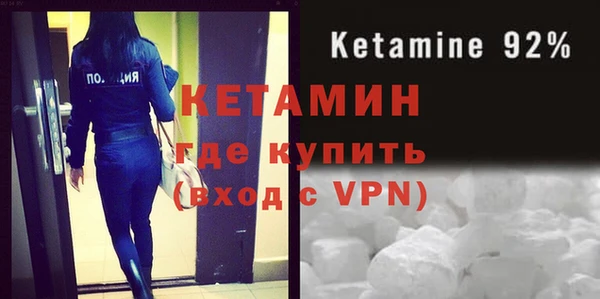 шишки Арсеньев