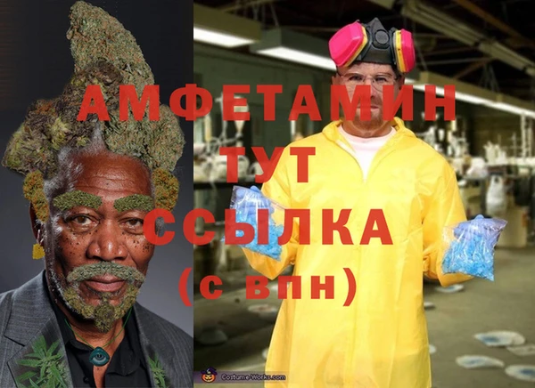 шишки Арсеньев