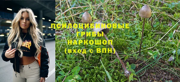 амф Касимов