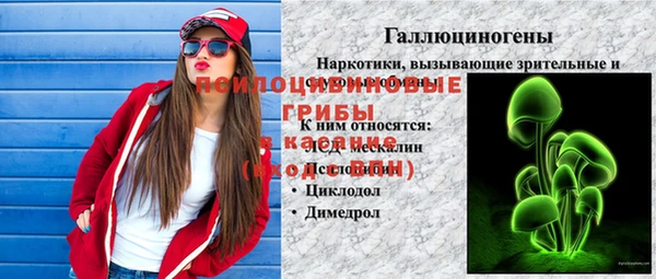 spice Армянск