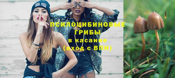 твердый Аркадак