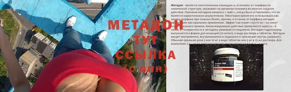шишки Арсеньев
