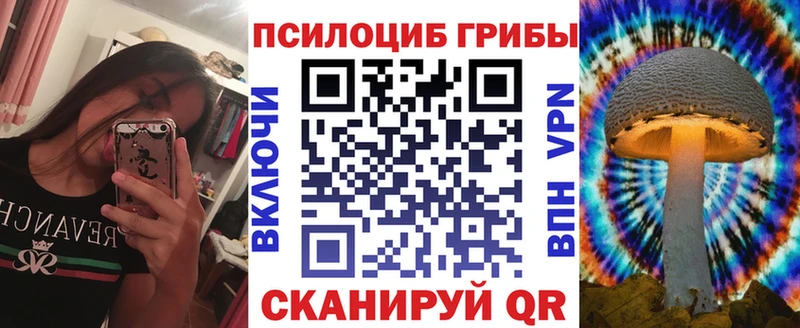 Псилоцибиновые грибы Psilocybe  блэк спрут ТОР  Очёр  наркота 